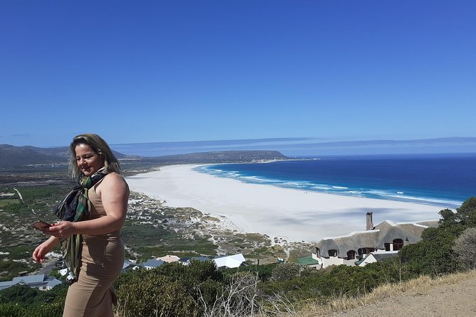 Half day African Penguin Tour - Boulders Beach: the main event