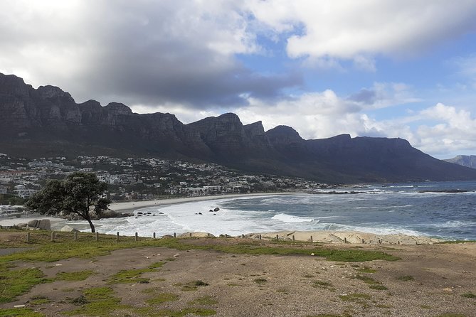 Half day African Penguin Tour - Simons Town, Kalk Bay, and Muizenberg