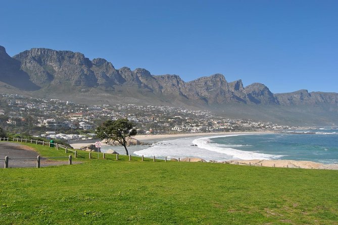 Half day Cape Point Sightseeing Tour with Penguins from Cape Town - Cape Point Nature Reserve and the Cape of Storms