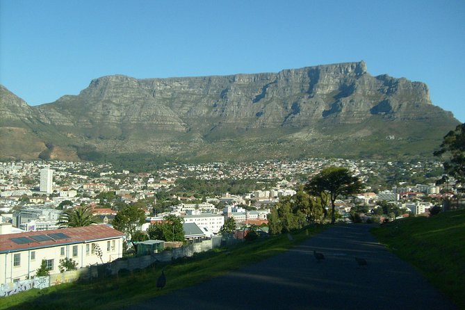 Half day City & Table Mountain Tour - Company’s Gardens and Cape Town’s first food supply