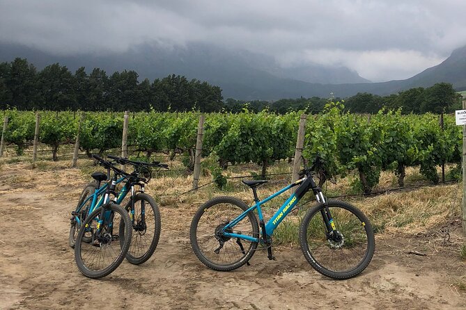 Half Day Cycling Wine Tour - A more personal style of wine tasting