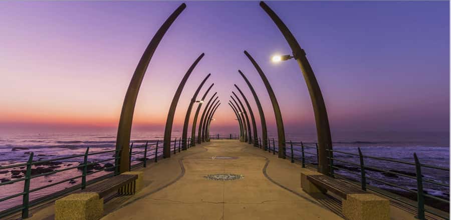 Half Day Durban City Tour and Phezulu Safari Park - What to expect from the game drive