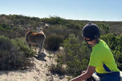 Half day Horse back safari