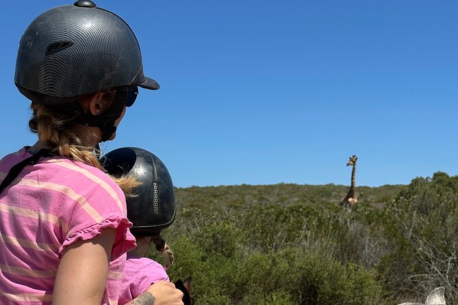 Half day Horse back safari - What the $60.60 price gets you