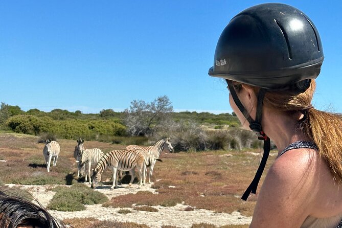 Half day Horse back safari - Who should book this experience