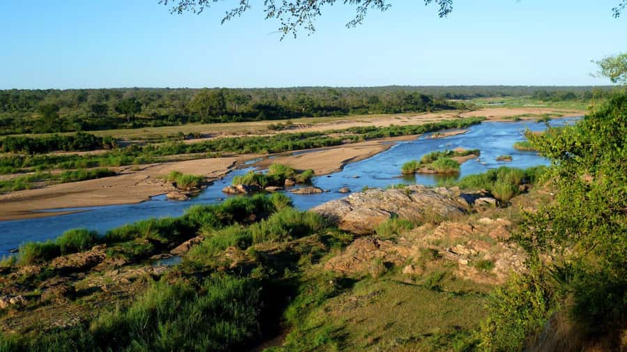 Half-Day Kruger Park Safari | Pickup & Drop-off Marloth Park - The Main Game Drive: Reading the Bush