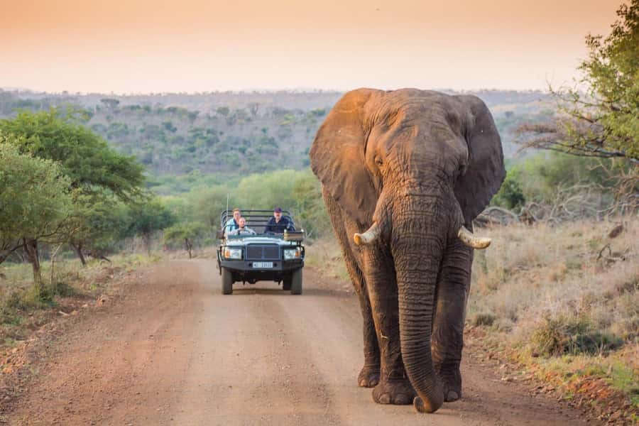 Half-Day Kruger Park Safari | Pickup & Drop-off Marloth Park - Entering Kruger in an Open Safari Vehicle