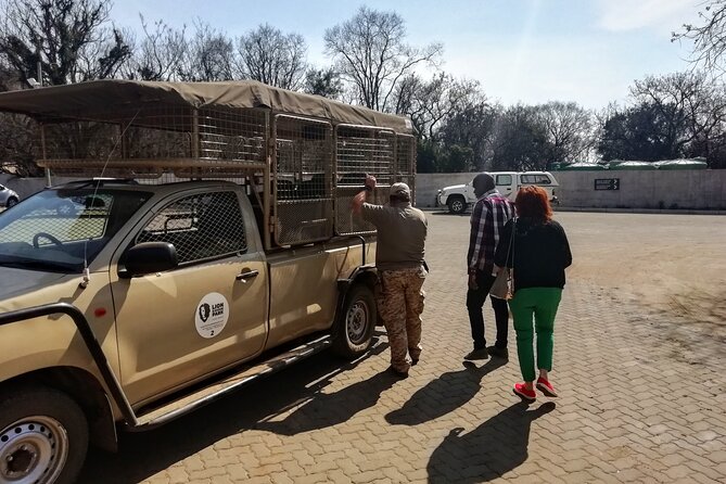 Half Day Lion and Safari Park Tour - Why this half-day safari works in Johannesburg
