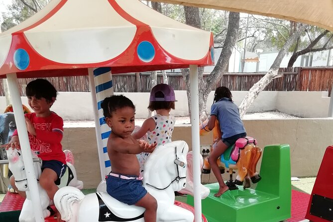 Half Day Lion and Safari Park Tour - What the $103.89 price really covers