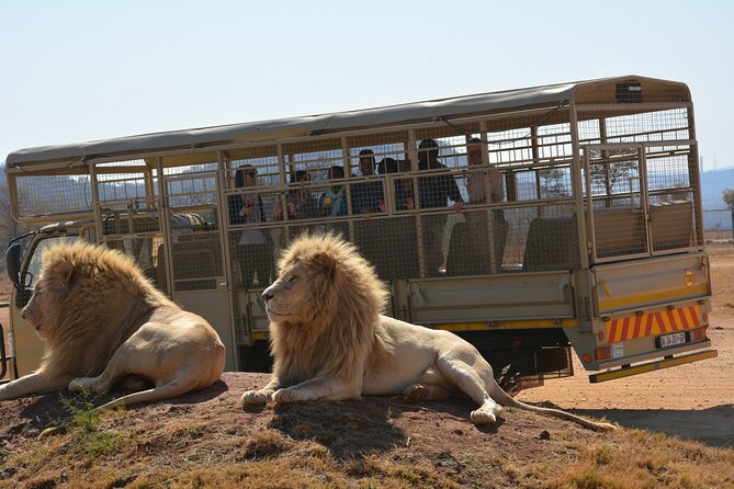 Half Day Lion Park tour from Johannesburg or Pretoria - Five Dome shopping adds a tourist stop