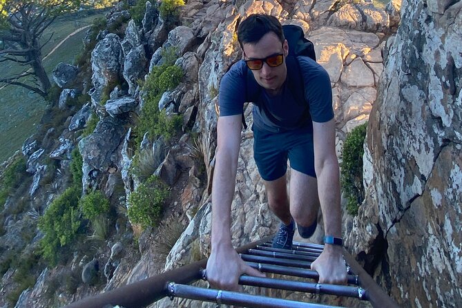Half-day Lion's Head Hike in Cape Town - The climb: views first, then a little rock work