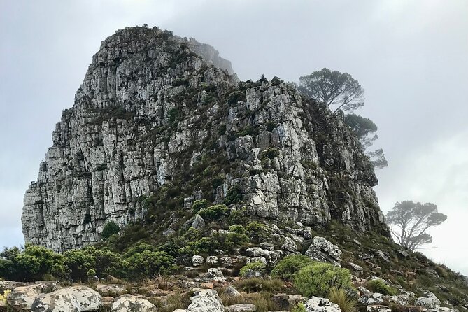 Half-day Lion's Head Hike in Cape Town - Is $60.16 a fair price?