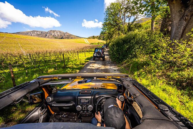 Half day Peninsula & Wine Combo tour - Key points at a glance