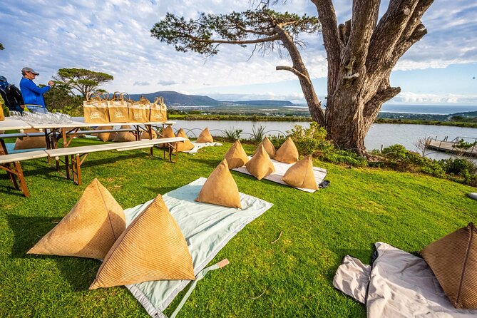Half day Peninsula & Wine Combo tour - Cape Point Vineyards: the heart of the outing