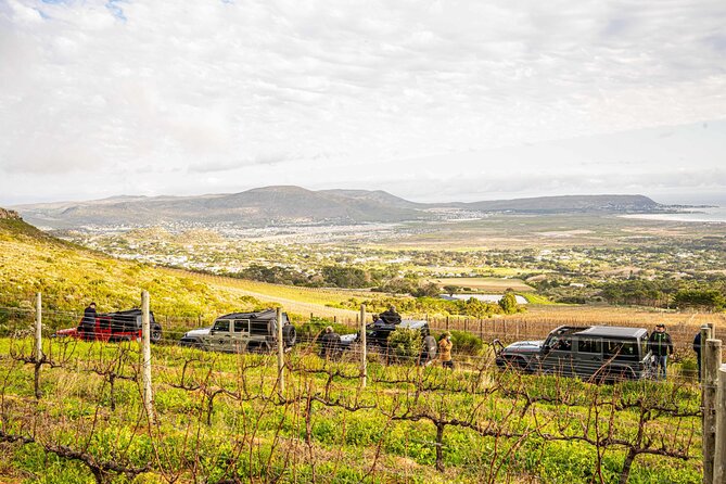 Half day Peninsula & Wine Combo tour - The Ou Kaapse Weg return route