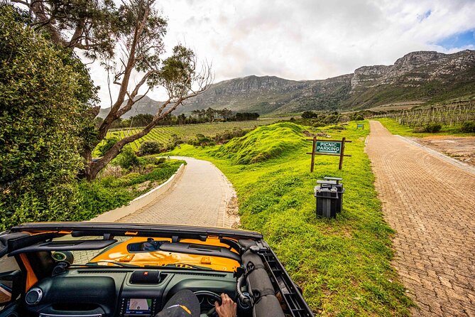 Half day Peninsula & Wine Combo tour - What the private Jeep format adds