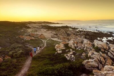 Half-Day Port Elizabeth & Kragga Kamma Reserve