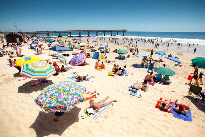 Half-Day Port Elizabeth & Kragga Kamma Reserve - Timing, pickup, and cruise-ship use