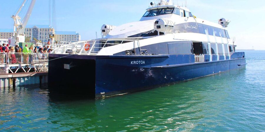 Half Day Robben Island including Tickets and Transfers Tour - The Cape Point confusion