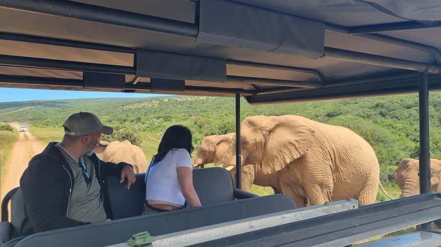 Half-Day Schotia Game Reserve (Open 4x4 Vehicle) - The Nanaga Farm Stall lunch stop