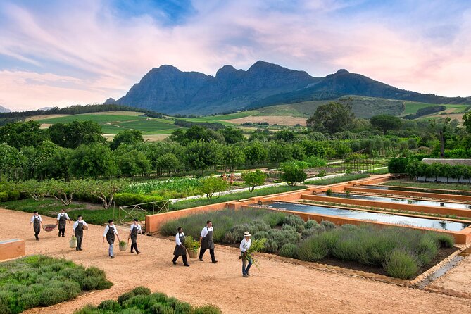 Half Day Stellenbosch Winelands Private Tour from Cape Town - What the $182.23 price really covers
