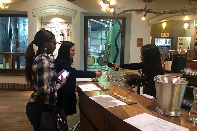 Half Day Stellenbosch Winelands Private Tour from Cape Town - Important planning advice before you book