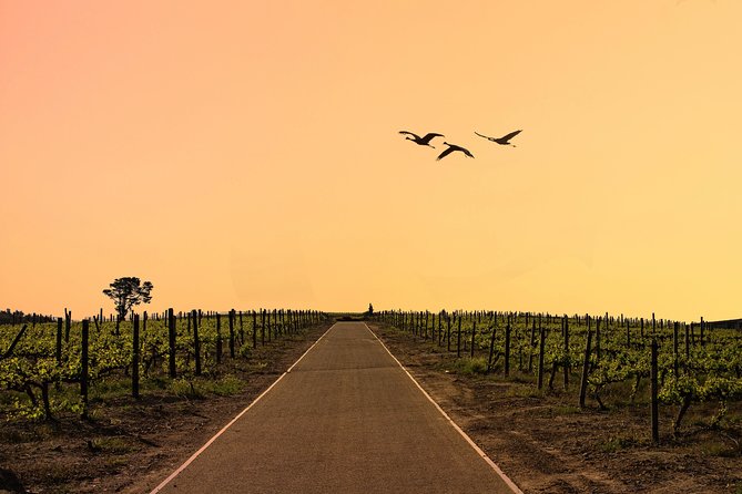 Half-Day Stellenbosch Winelands Tour from Cape Town - A quick look at Stellenbosch town