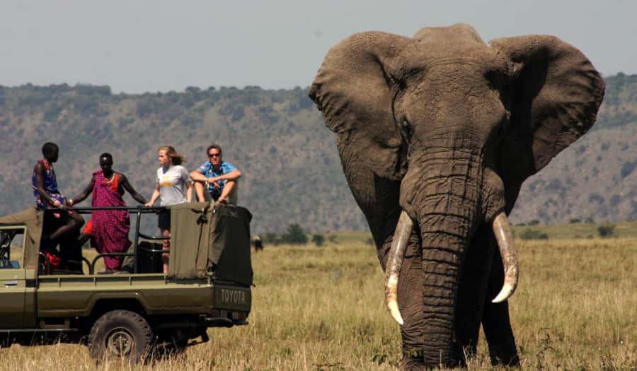 Half Day Tala Game Reserve & Natal Lion Park from Durban - Key points to know before booking