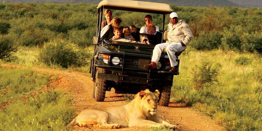 Half Day Tala Game Reserve & Natal Lion Park from Durban - Is $190 good value?