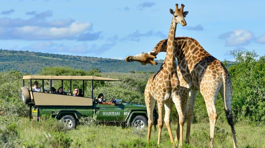 Half Day Tala Game Reserve & Natal Lion Park from Durban - Who will enjoy this half-day outing?