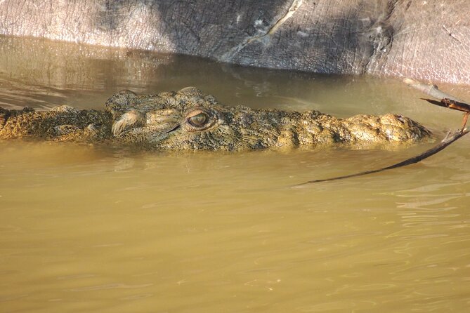 Half Day Tour in iSimangaliso Wetland Park - Boarding at Sunset Jetty