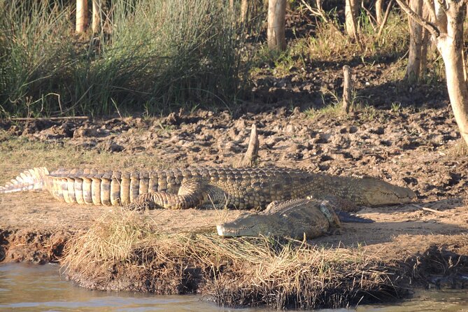 Half Day Tour in iSimangaliso Wetland Park - What the $196.24 price really covers