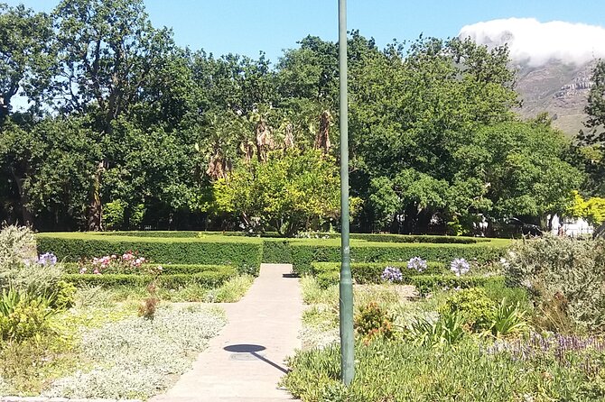 Half-Day Tour of Cape Town City - Company’s Gardens, trees, art, and city calm
