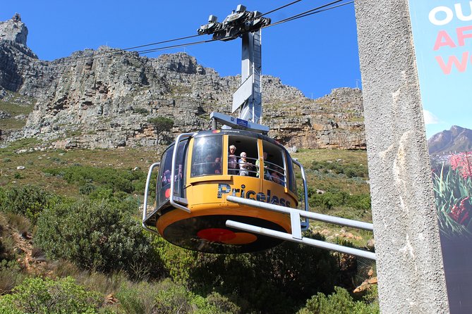 Half-Day Tour of Cape Town City - The guide makes the difference