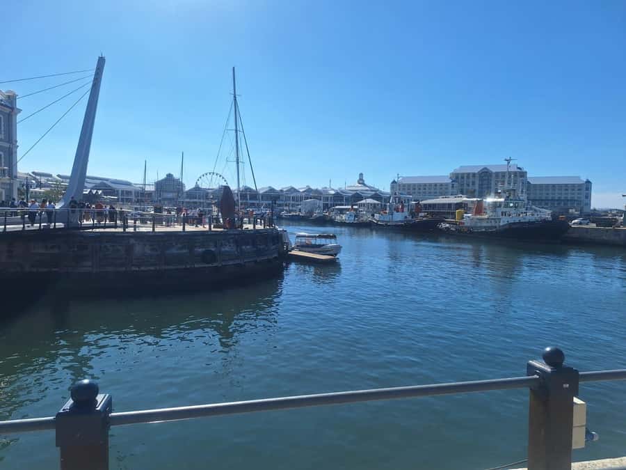 Half Day Tour to Robben Island with Pre-Booked Ticket - What the four-hour schedule really gives you
