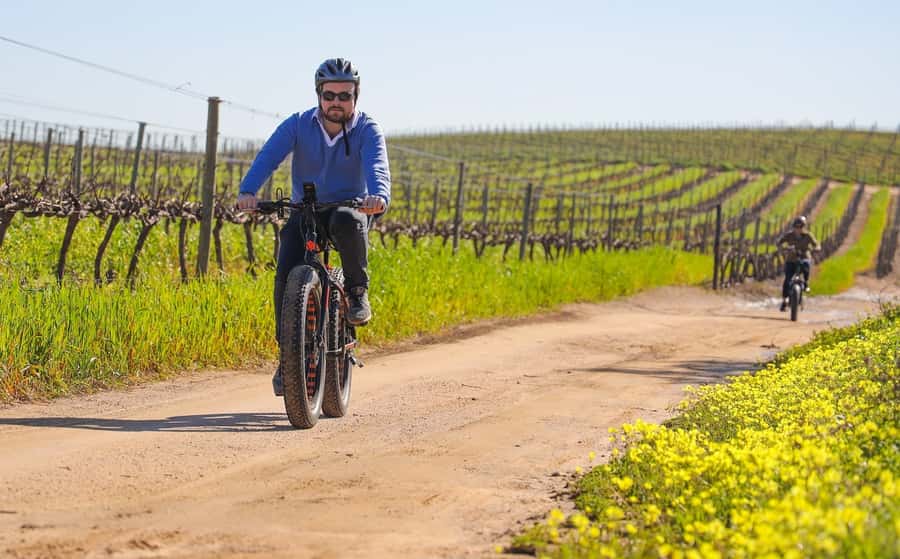 Half-Day Winelands E-Bike Tour with Wine Tasting - Riding through hills, valleys, and vineyards
