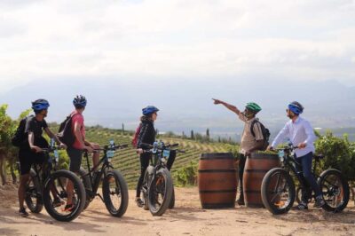 Half-Day Winelands E-Bike Tour with Wine Tasting