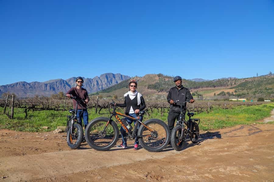 Half-Day Winelands E-Bike Tour with Wine Tasting - The wine estate tasting at the end