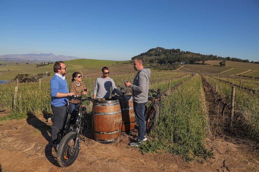 Half-Day Winelands E-Bike Tour with Wine Tasting - Should you book the Winelands e-bike tour?