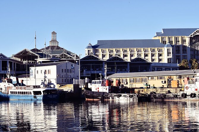 Half Hour Seal and Harbour Cruise from Cape Town - Why Families Like This Boat Ride