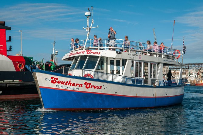 Half Hour Seal and Harbour Cruise from Cape Town - Is $4.04 Good Value in Cape Town?
