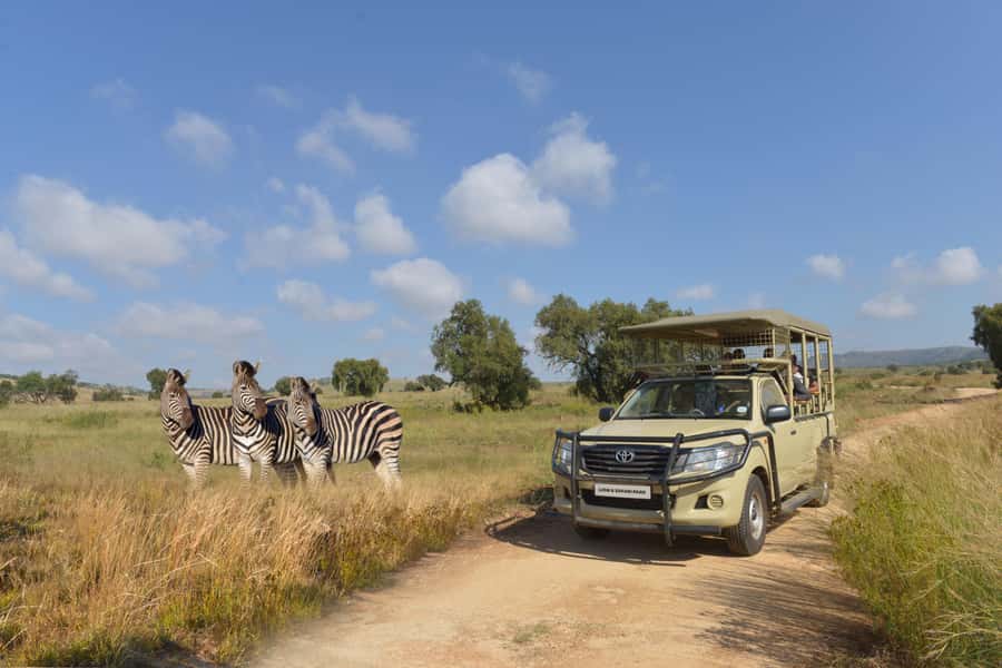Hartbeespoort: Lion and Safari Park Tour - Free-roaming antelopes and changing views