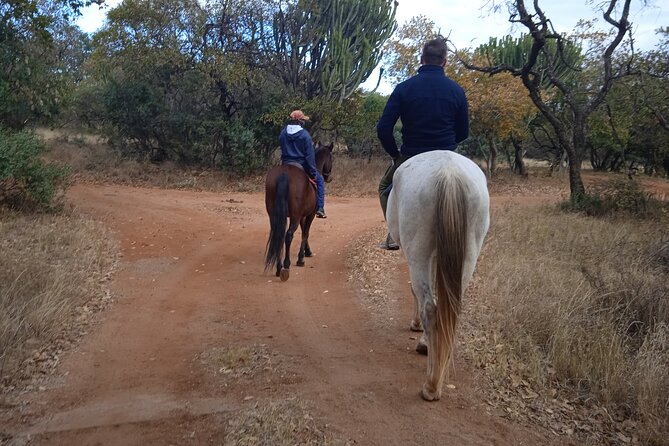 Harties Horse Trail Safari Half day - Key points to know before you book