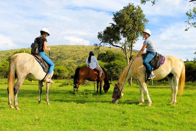 Harties Horse Trail Safari Half day - Private touring gives you room to settle in