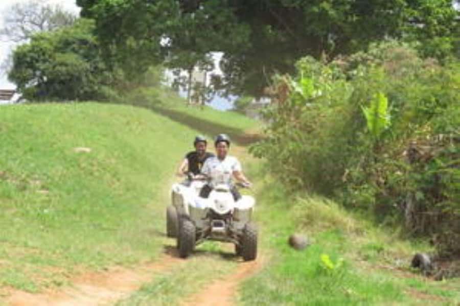 Hazyview : 30 minutes Quad Ride - Riding through the macadamia plantation