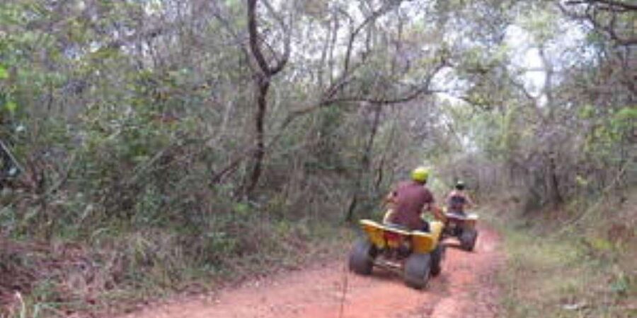 Hazyview : 30 minutes Quad Ride - What the equipment and course may be like