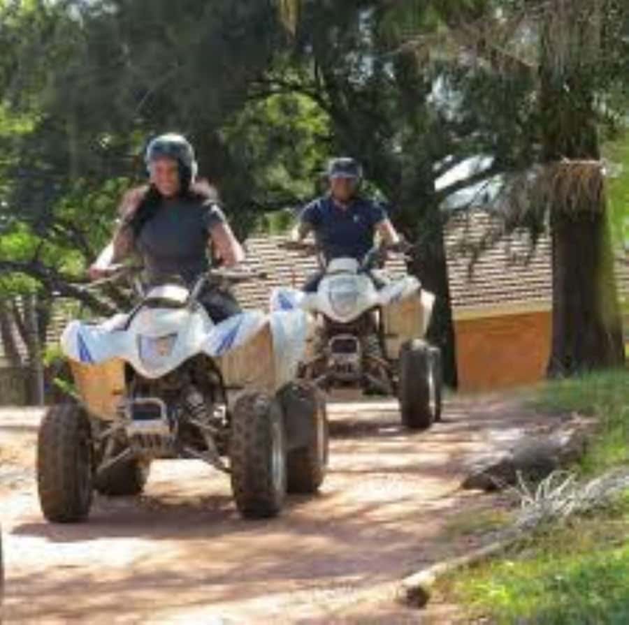 Hazyview: Guided Macadamia Plantation and Forest Quad Safari - Key points to know before you ride