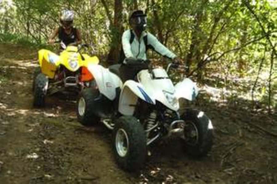Hazyview: Guided Macadamia Plantation and Forest Quad Safari - Riding through the macadamia plantation