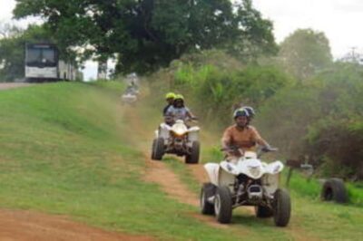 Guided Macadamia Plantation and Forest Quad Safari