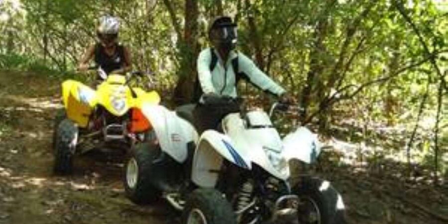 Hazyview: Guided Macadamia Plantation and Forest Quad Safari - Refreshments and the overall value at $48